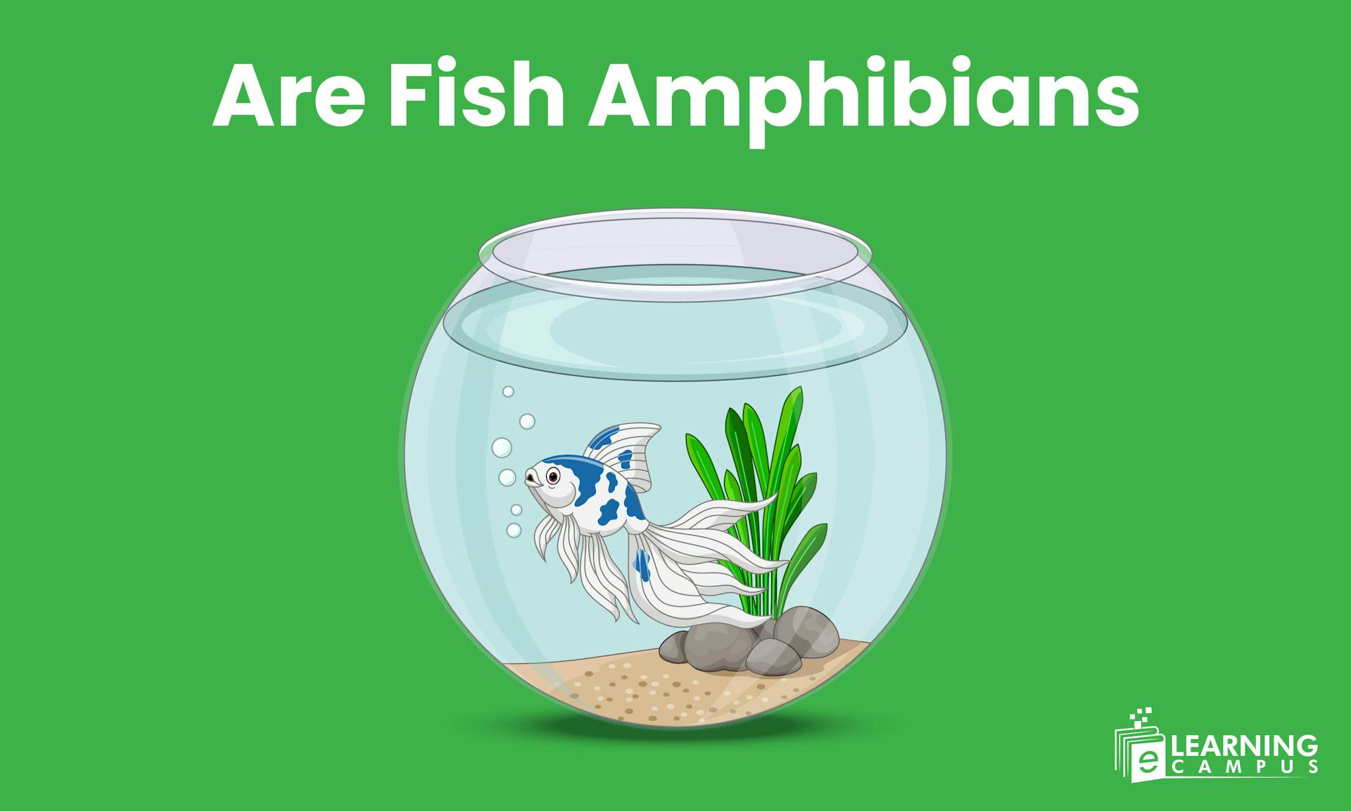 Are Fish Amphibians?