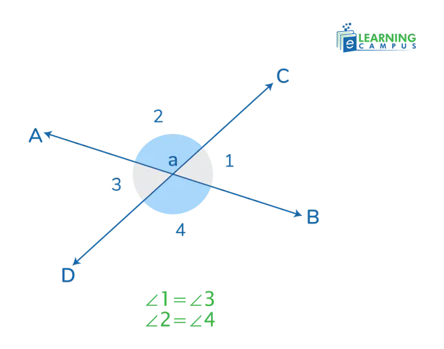 Vertical Angles Theorem, Proof & Examples | Geometry Guide