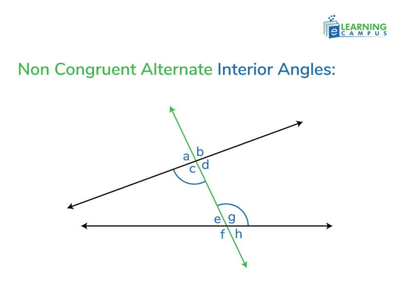 Non Congruent Alternate Interior Angles