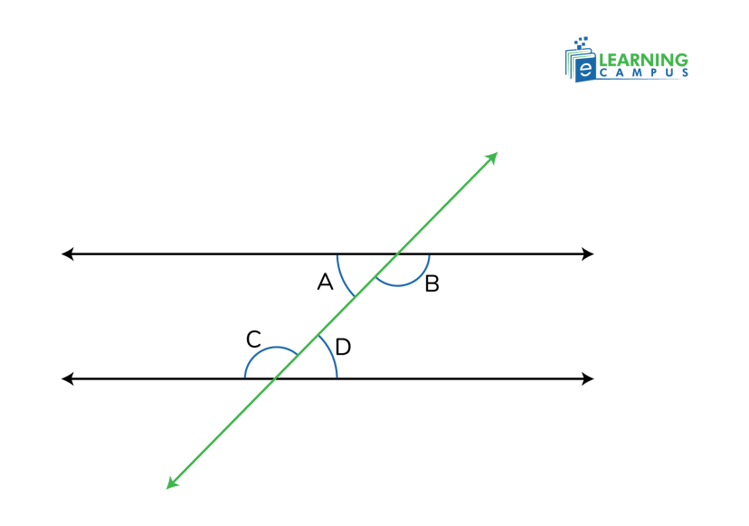 Example of Alternate Interior Angles