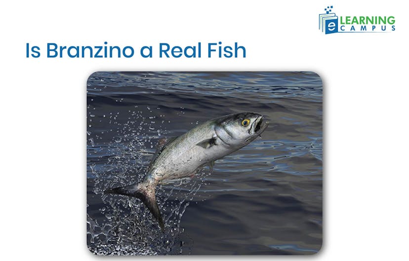 Is Branzino a Real Fish