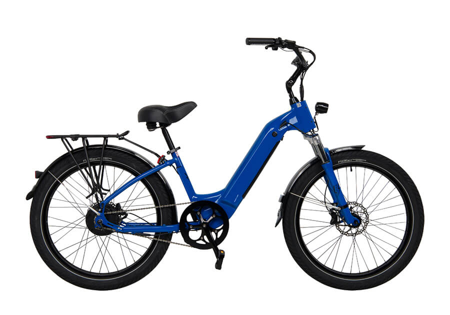 The electric bike sales co