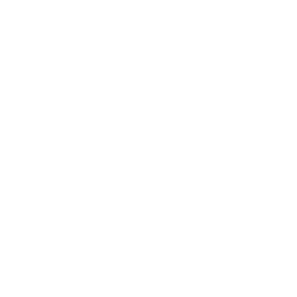 Elite Race – SE BIKES Powered By BikeCo