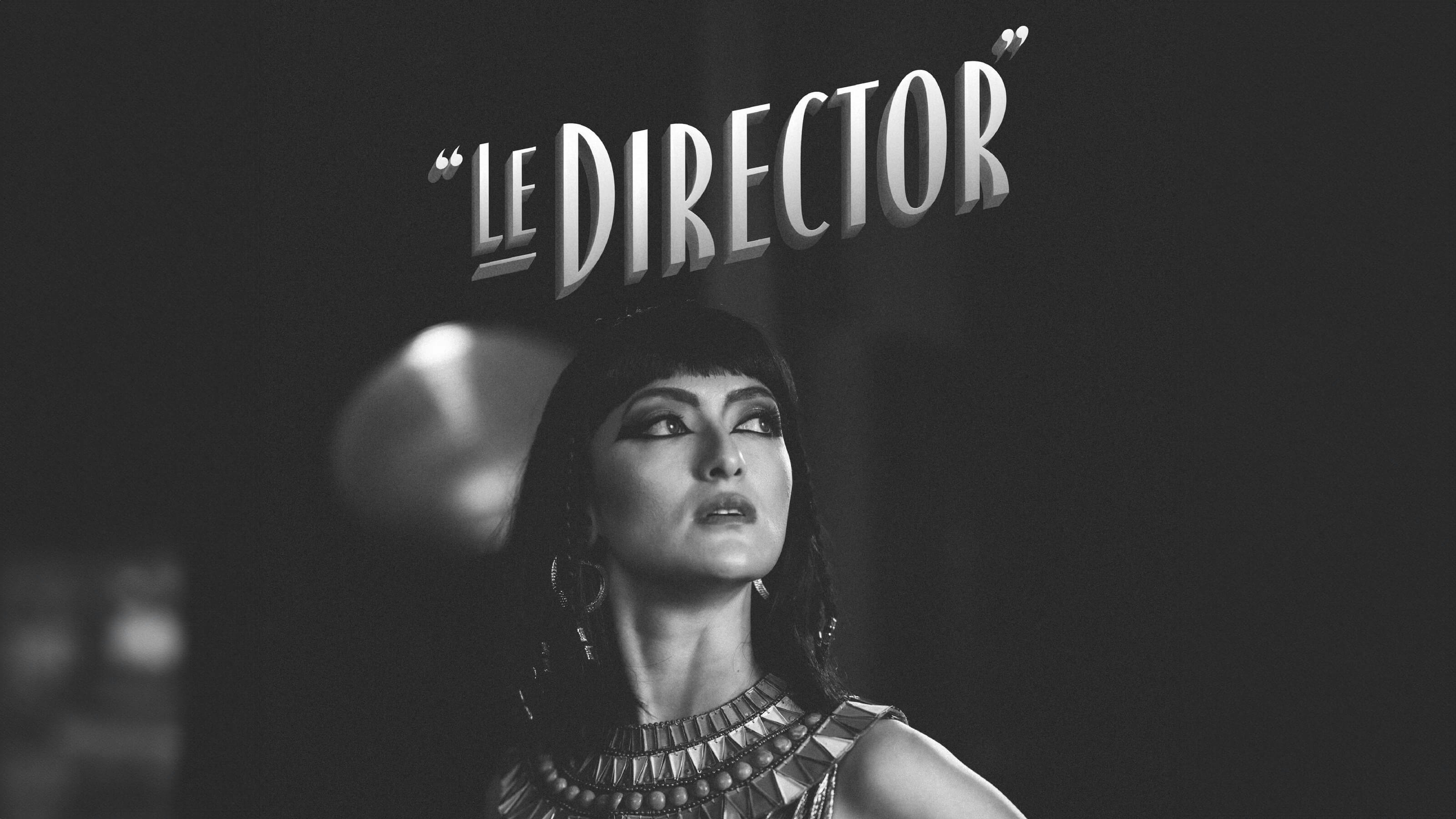 LeDirector