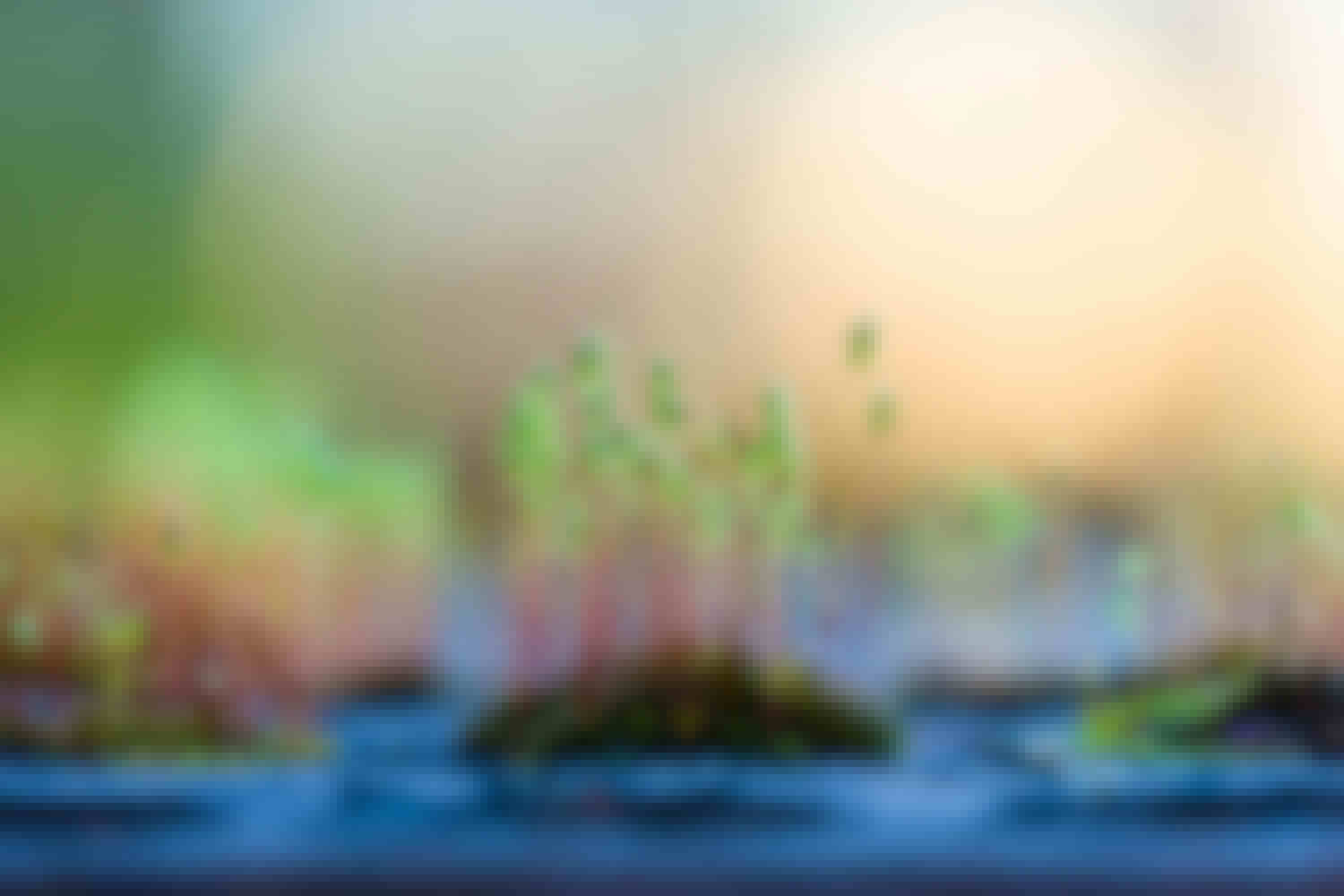 A very close up picture of grass growing