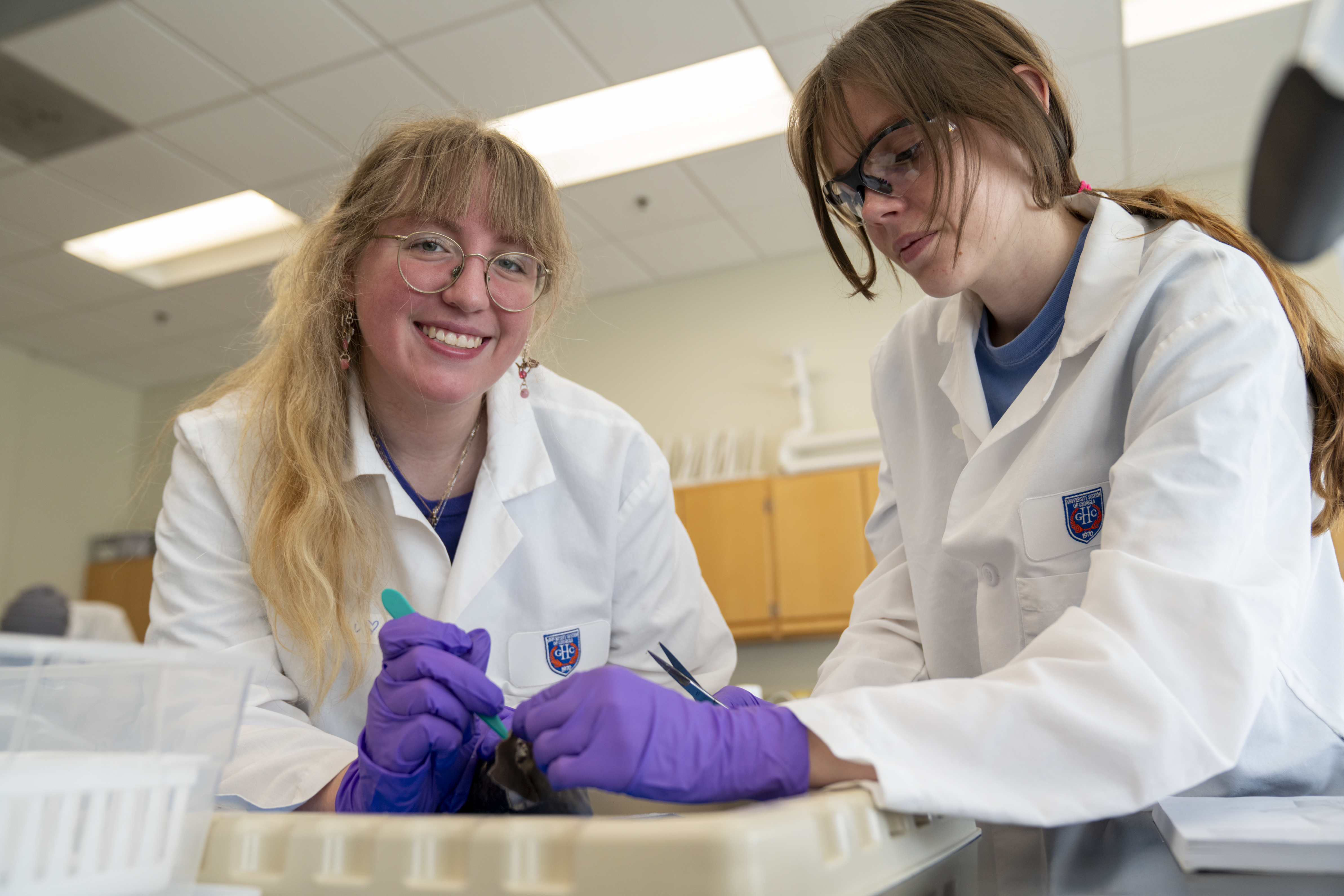 Two Georgia Highlands College students in lab coats and gloves working on a dissection in a science lab