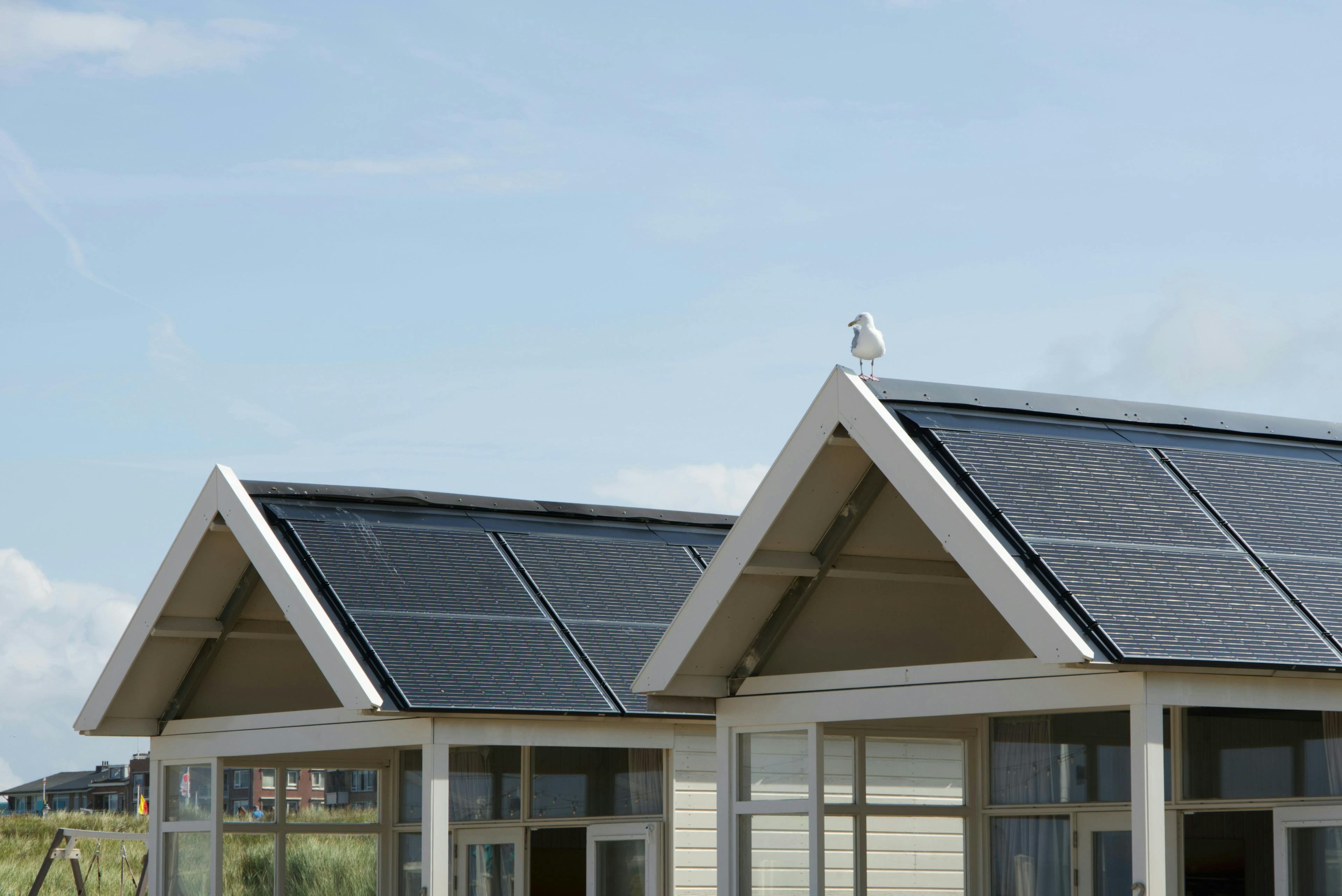  a seagull is standing on the top of a roof with solar panels