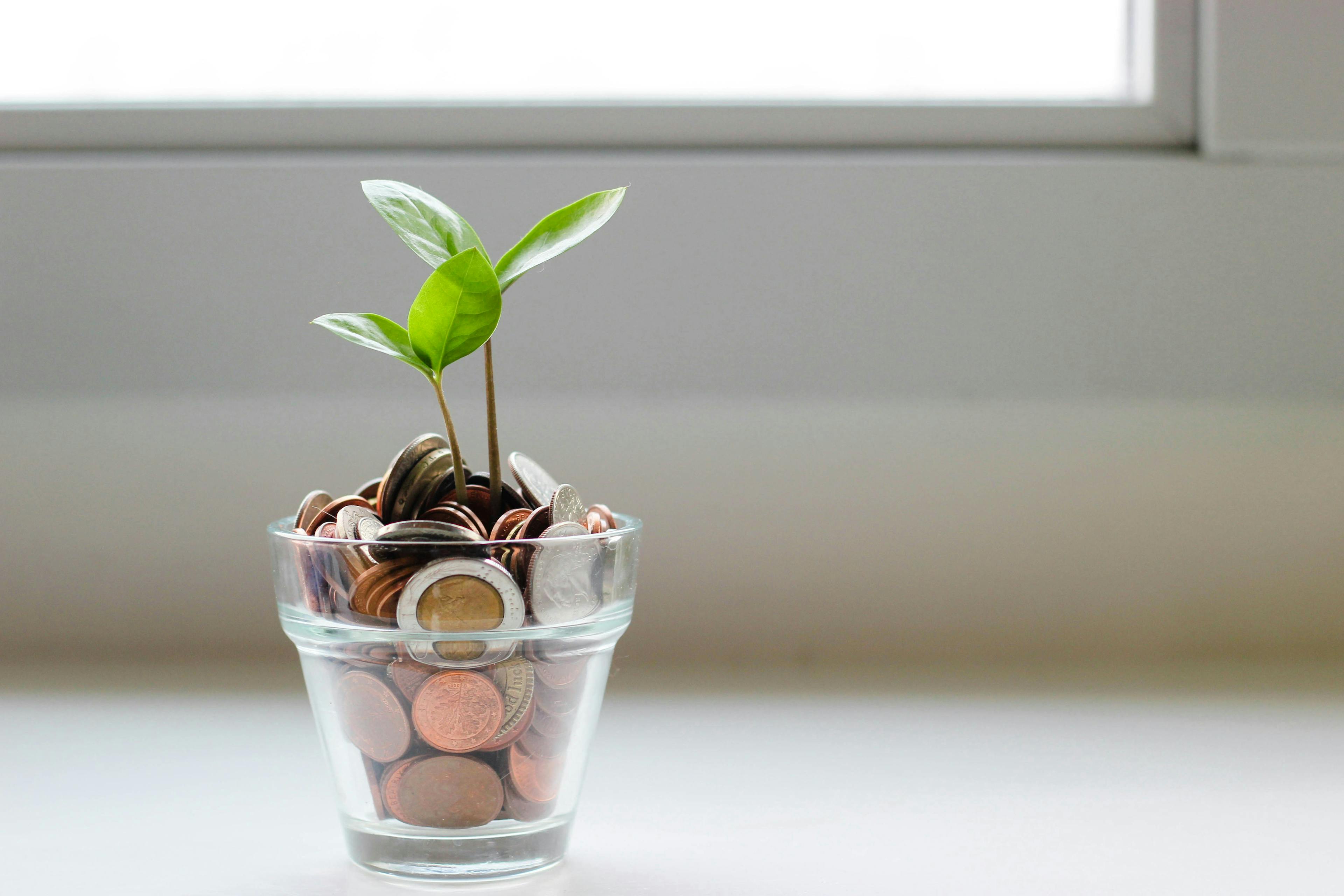 Coins in a small glass container with a plant growing out of it.