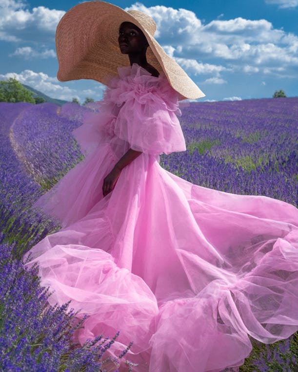 main-image-Lavender Fields, Vanidad