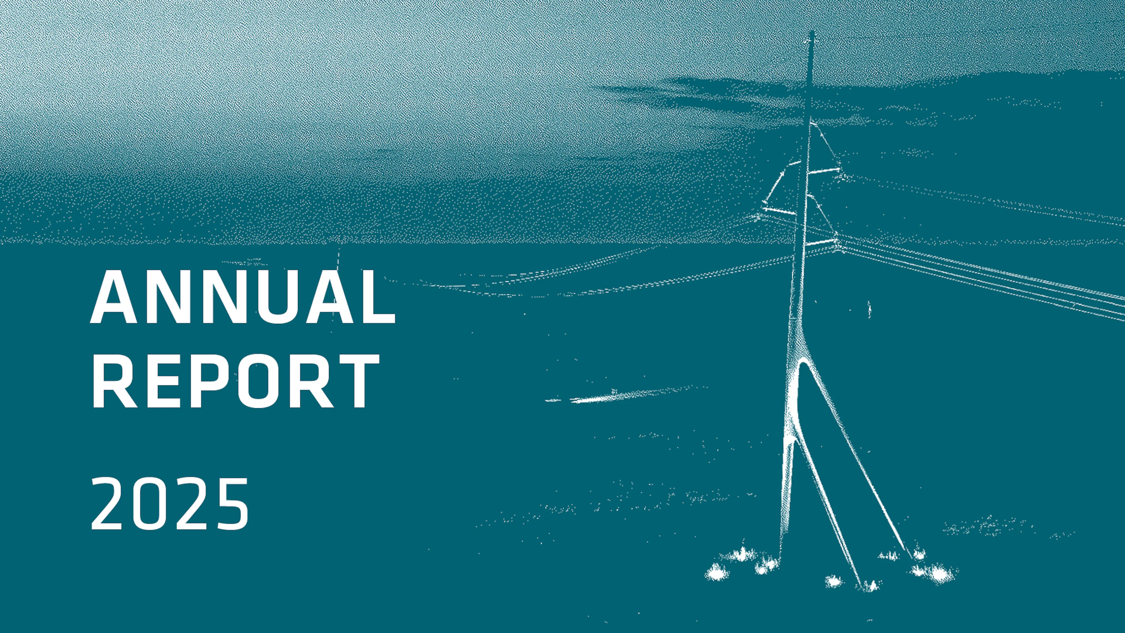 annual report 2025 visual