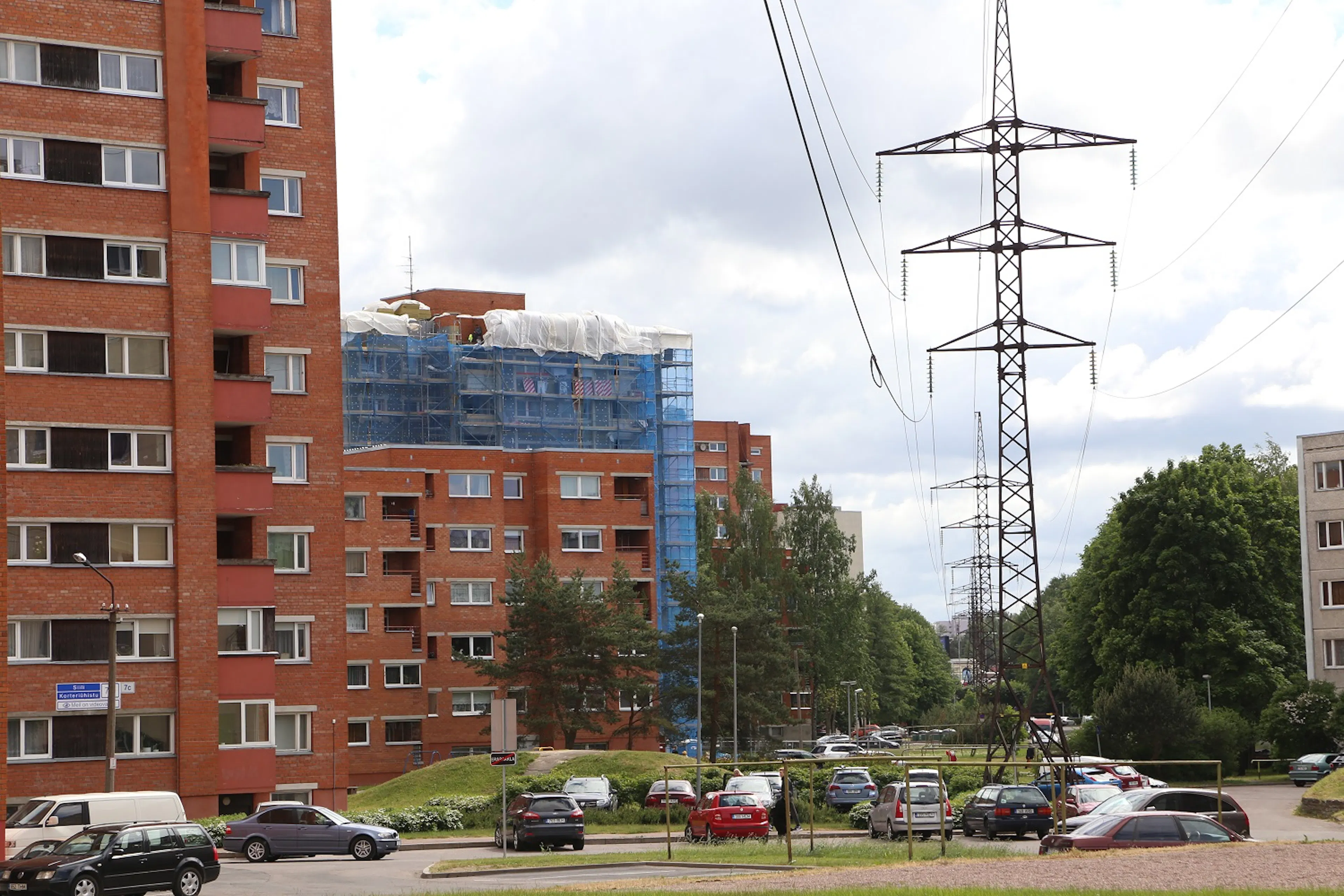 Siili_2.jpg