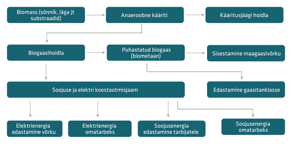 Biometaani tootmisprotsessi ja kasutusalade skeem