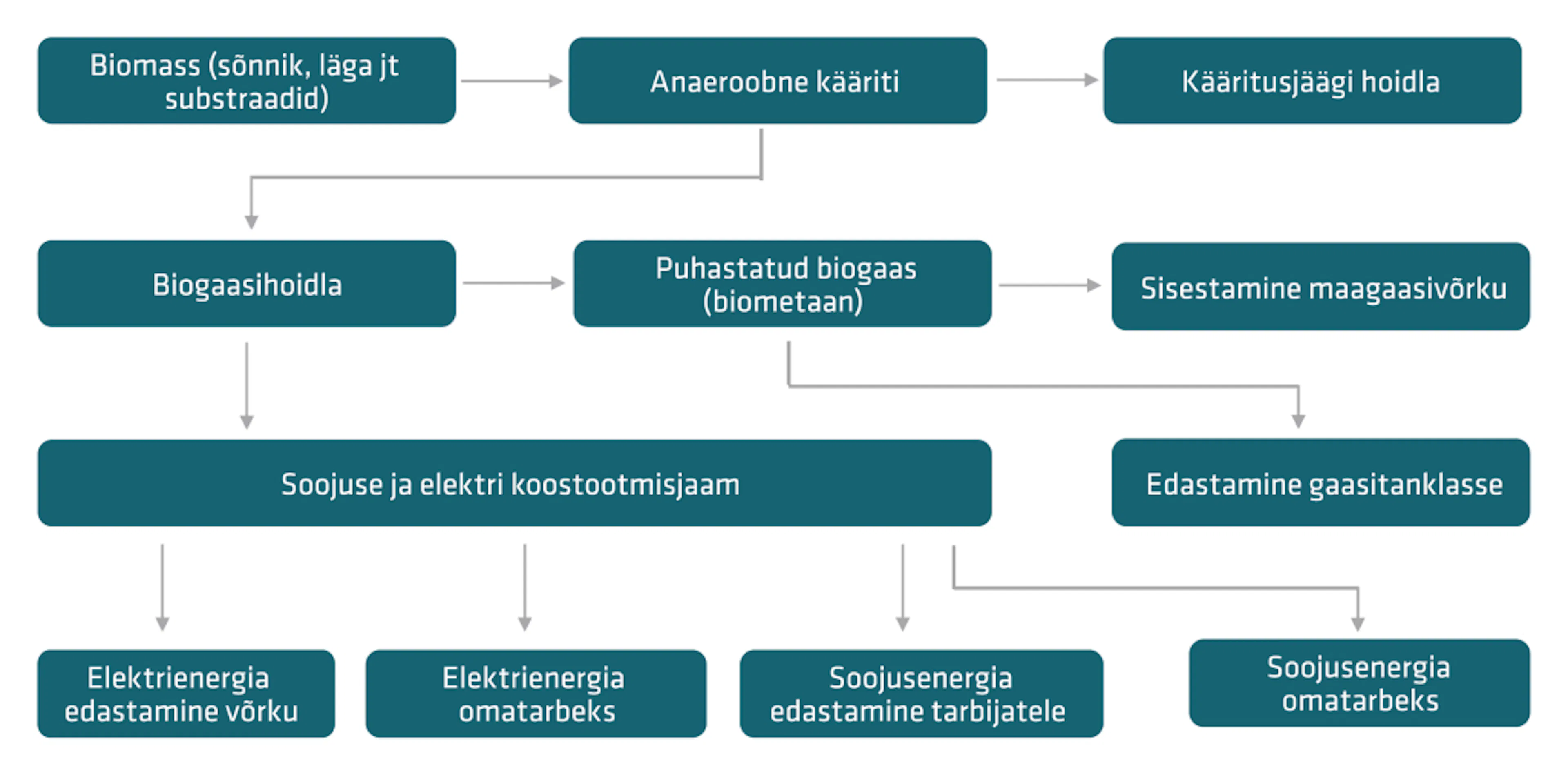 Biometaani tootmisprotsessi ja kasutusalade skeem