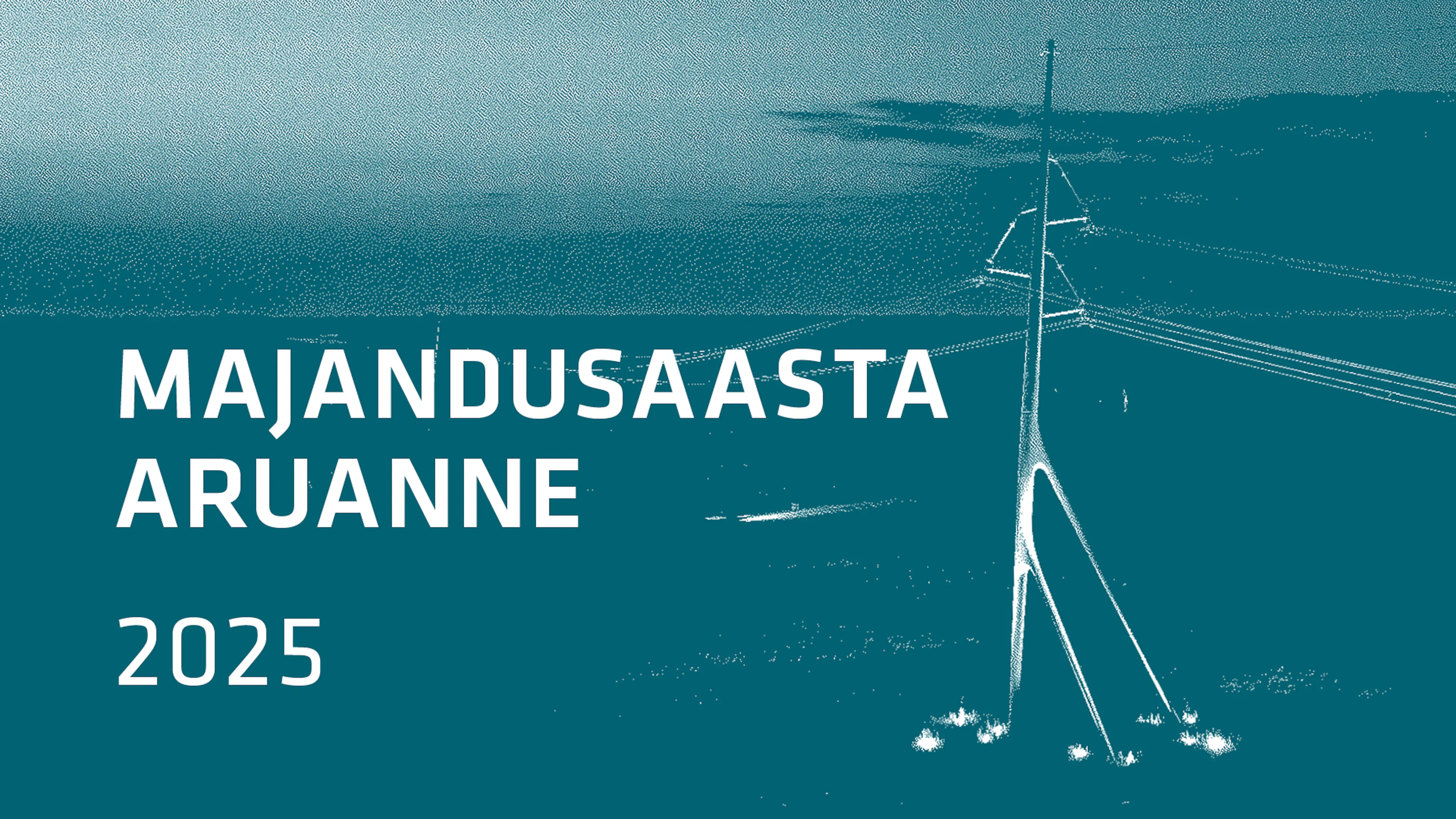 Majandusaasta aruanne 2025