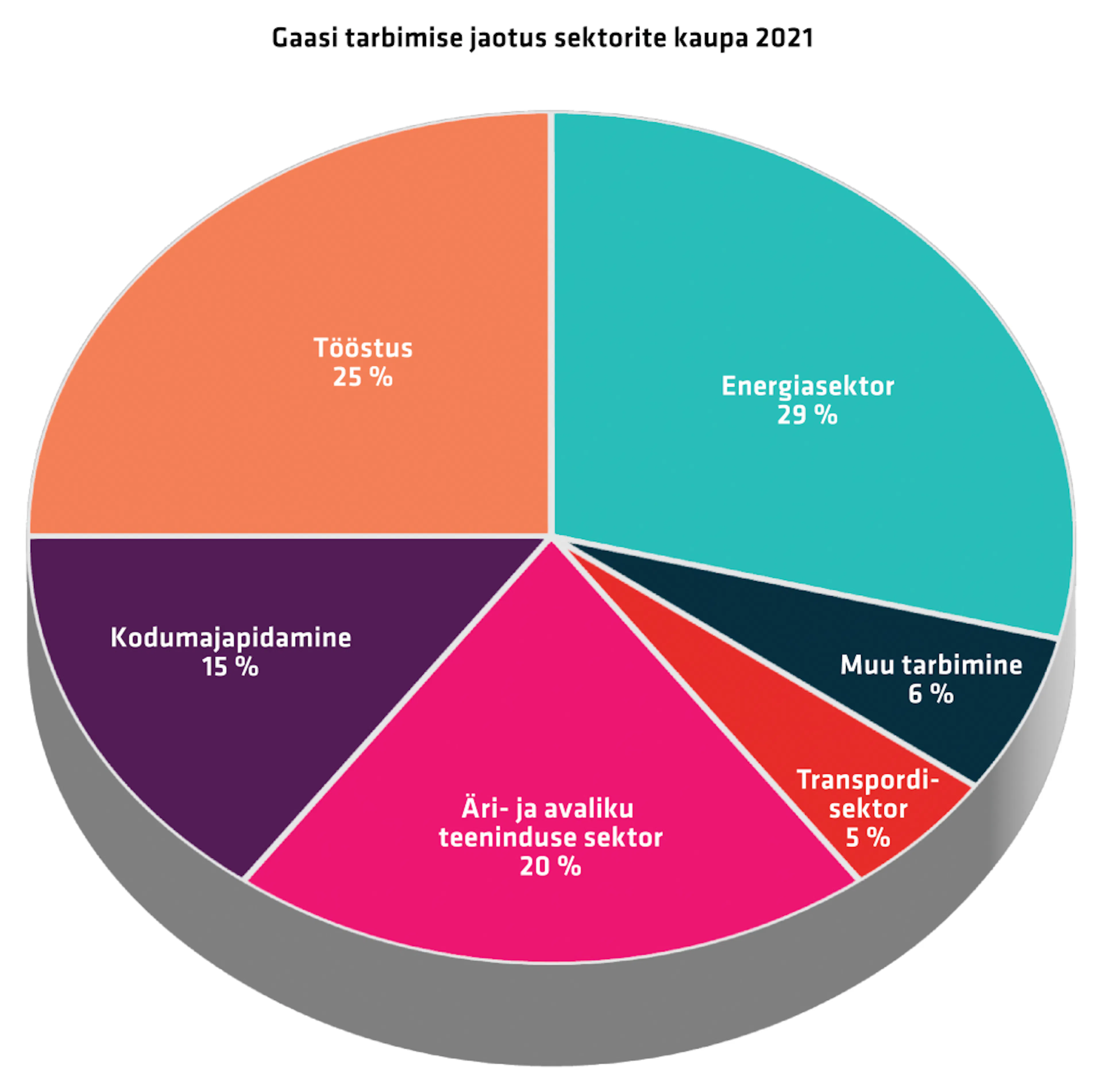 Gaasi tarbimise jaotus sektorite kaupa (2021).