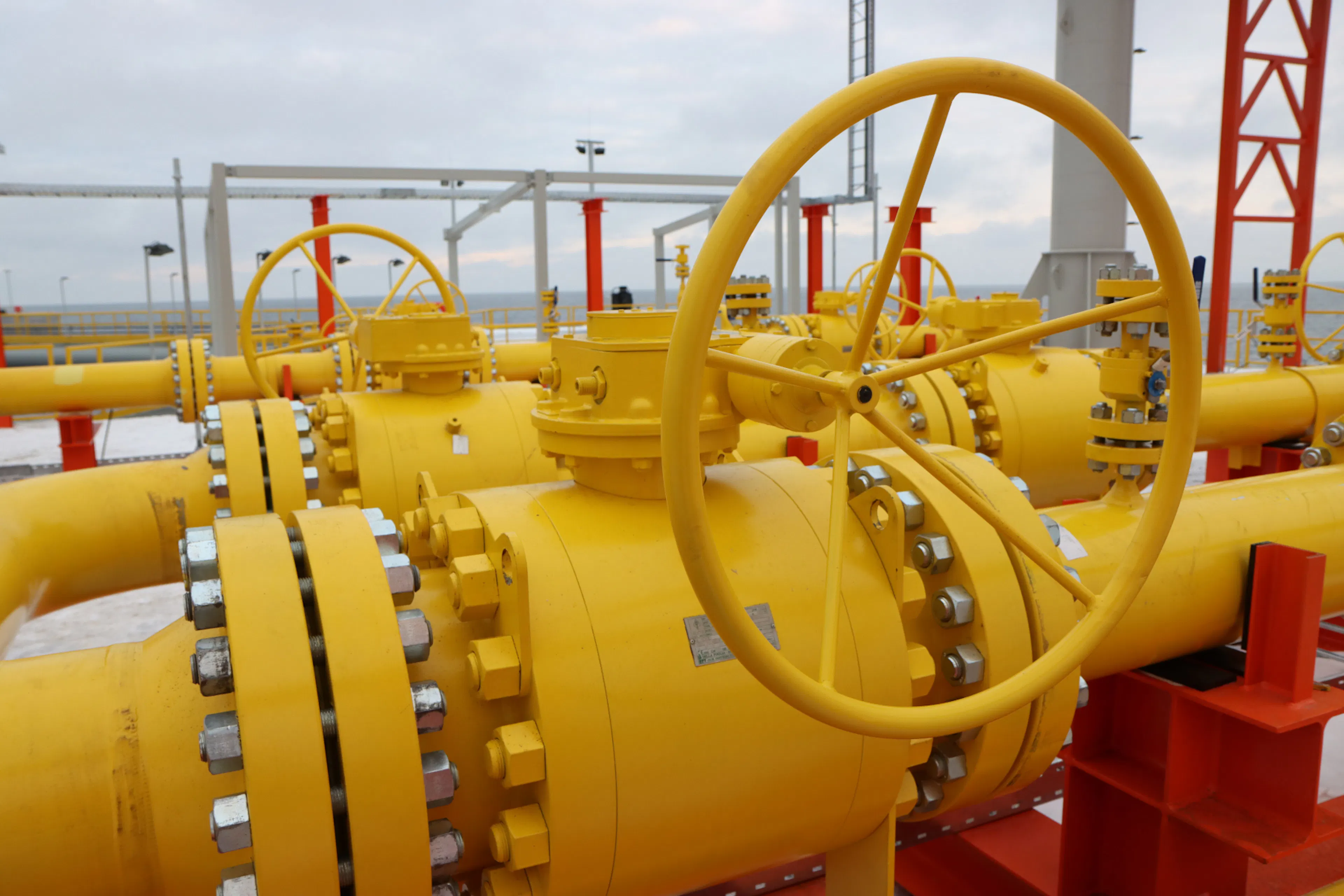 lng paldiskis