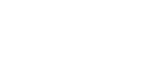 Enexis netbeheer logo wit