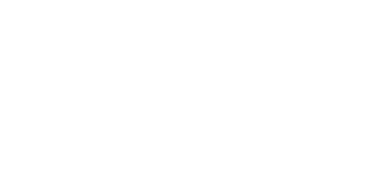 KPN logo wit bedrijfslogo