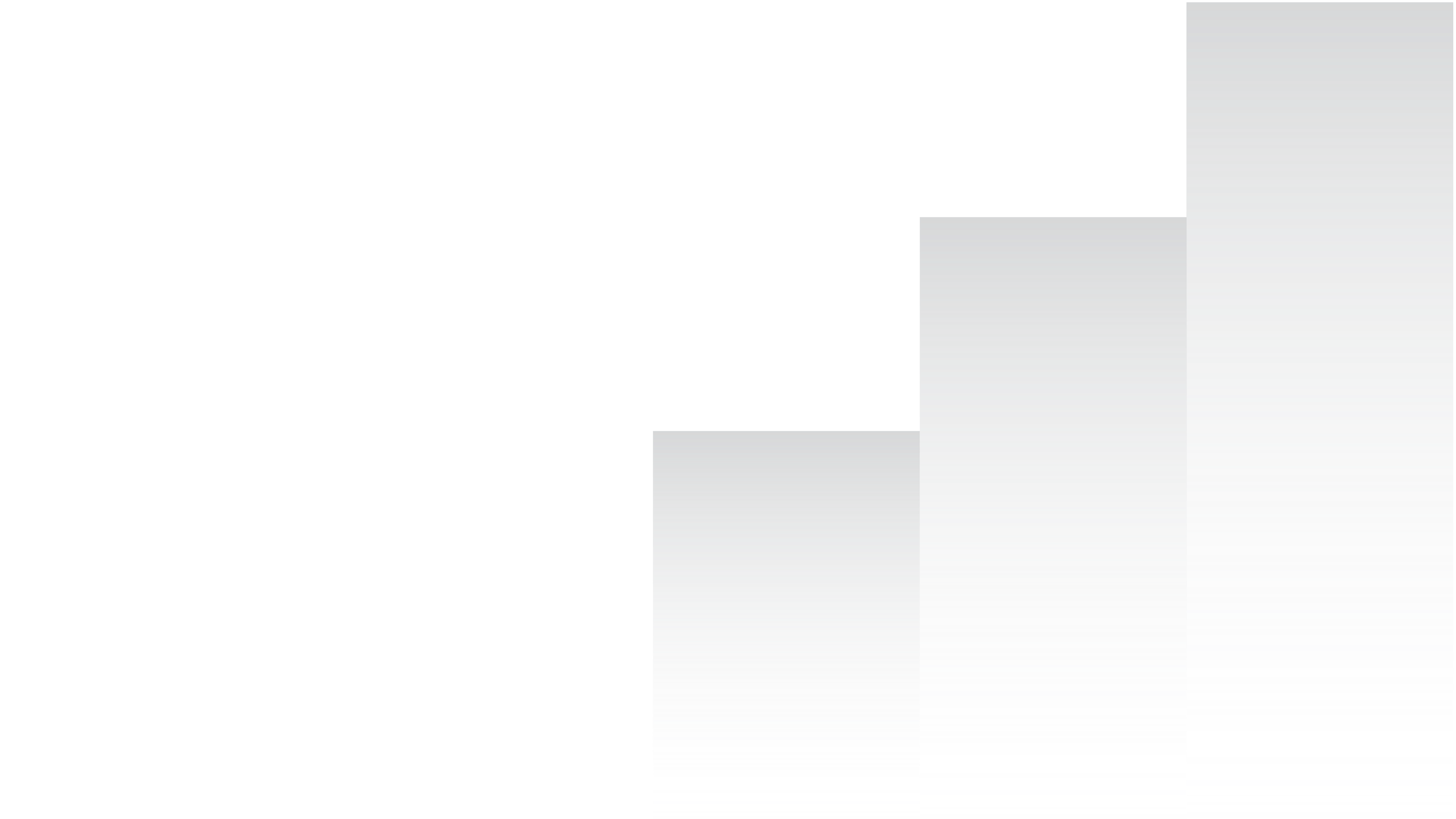 Design afbeelding branding Elevation Group trap transparant.
