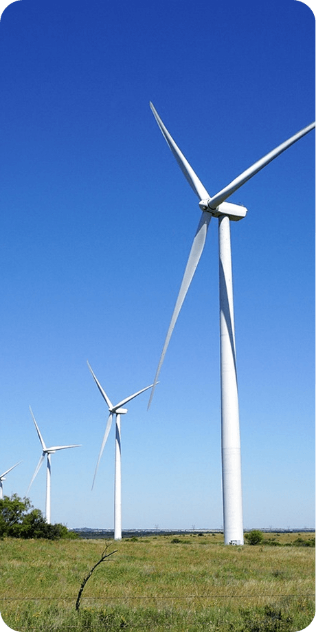 White wind turbines of a wind farm on open farmland against a blue sky