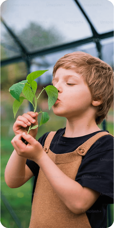 A boy is smelling a green plant in a greenhouse – connecting renewable energy and nature