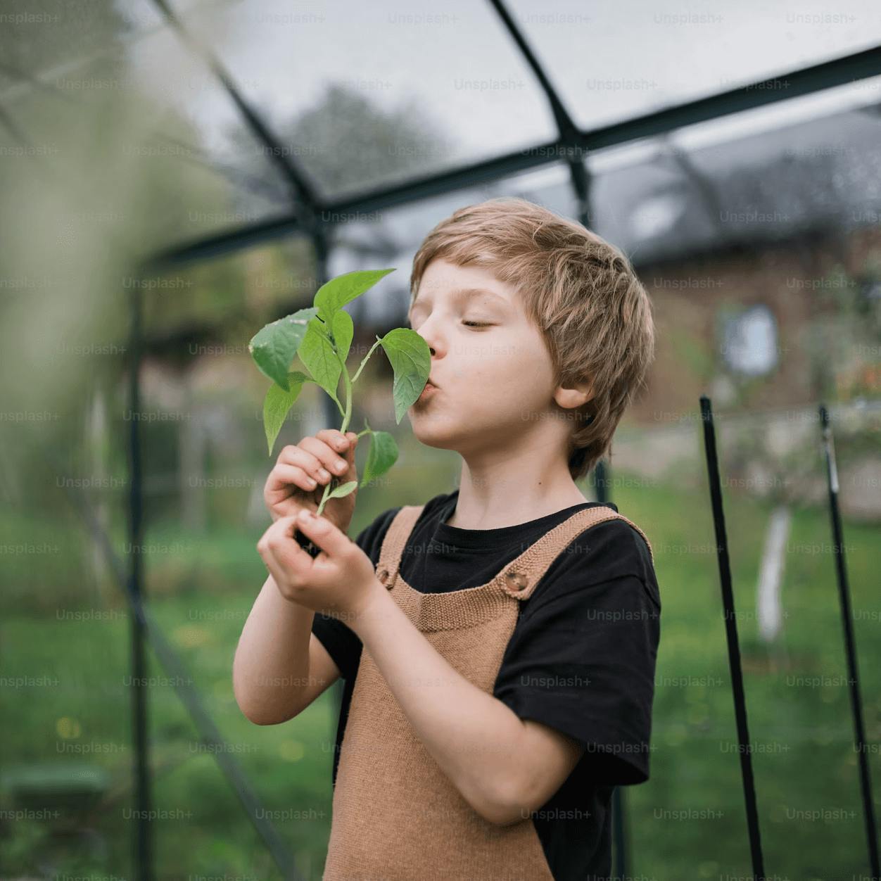 A boy is smelling a green plant in a greenhouse – connecting renewable energy and nature.
