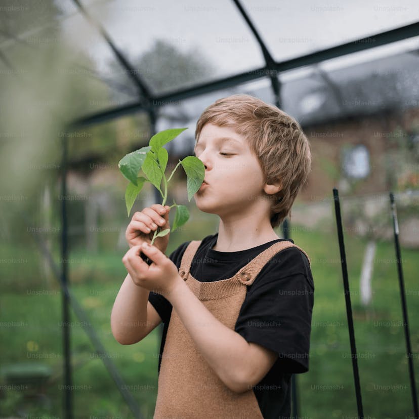 Poiss nuusutab taimekasvuhoones rohelist taime – taastuvenergia ja looduse ühendus