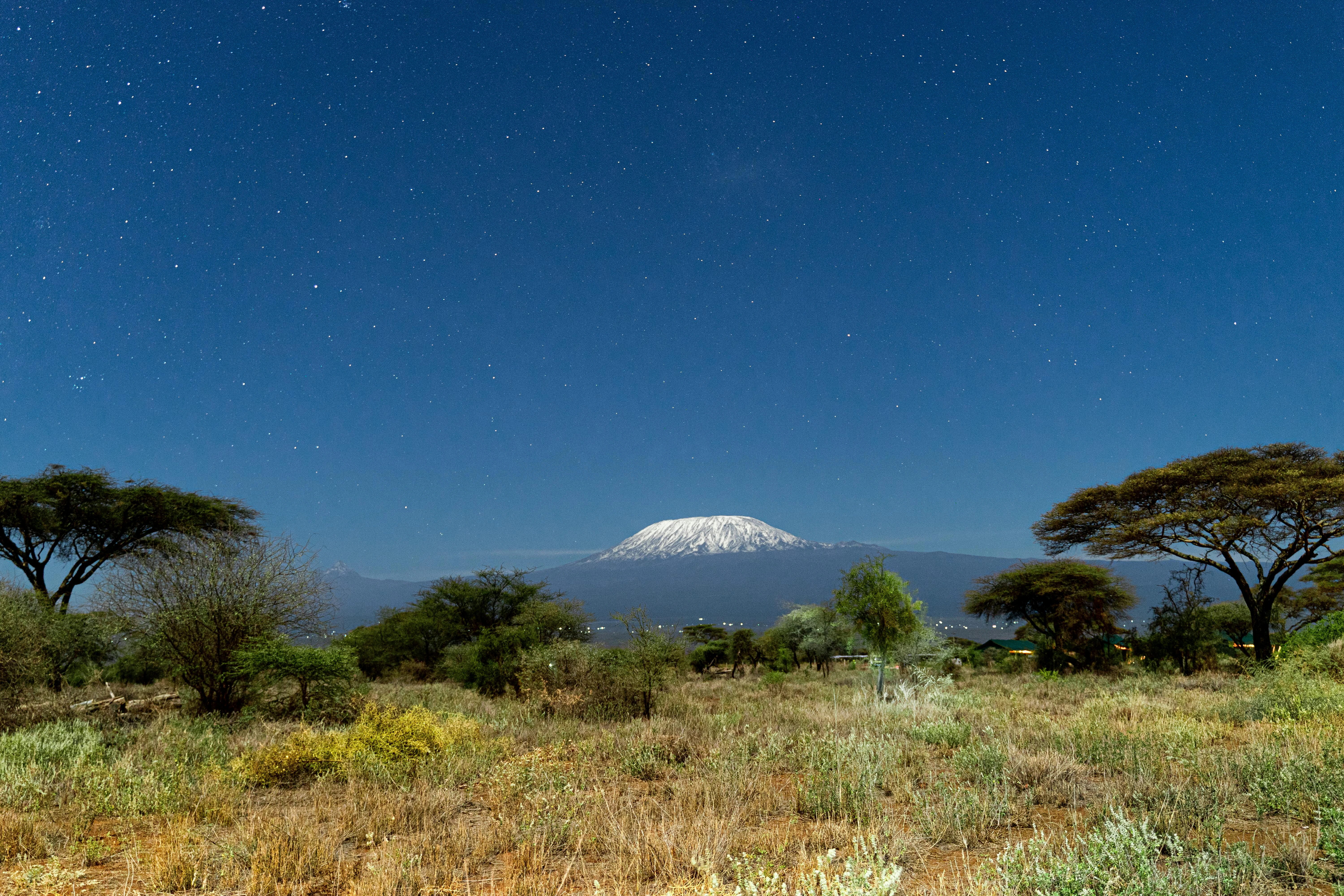 Kilimanjaro with grass 