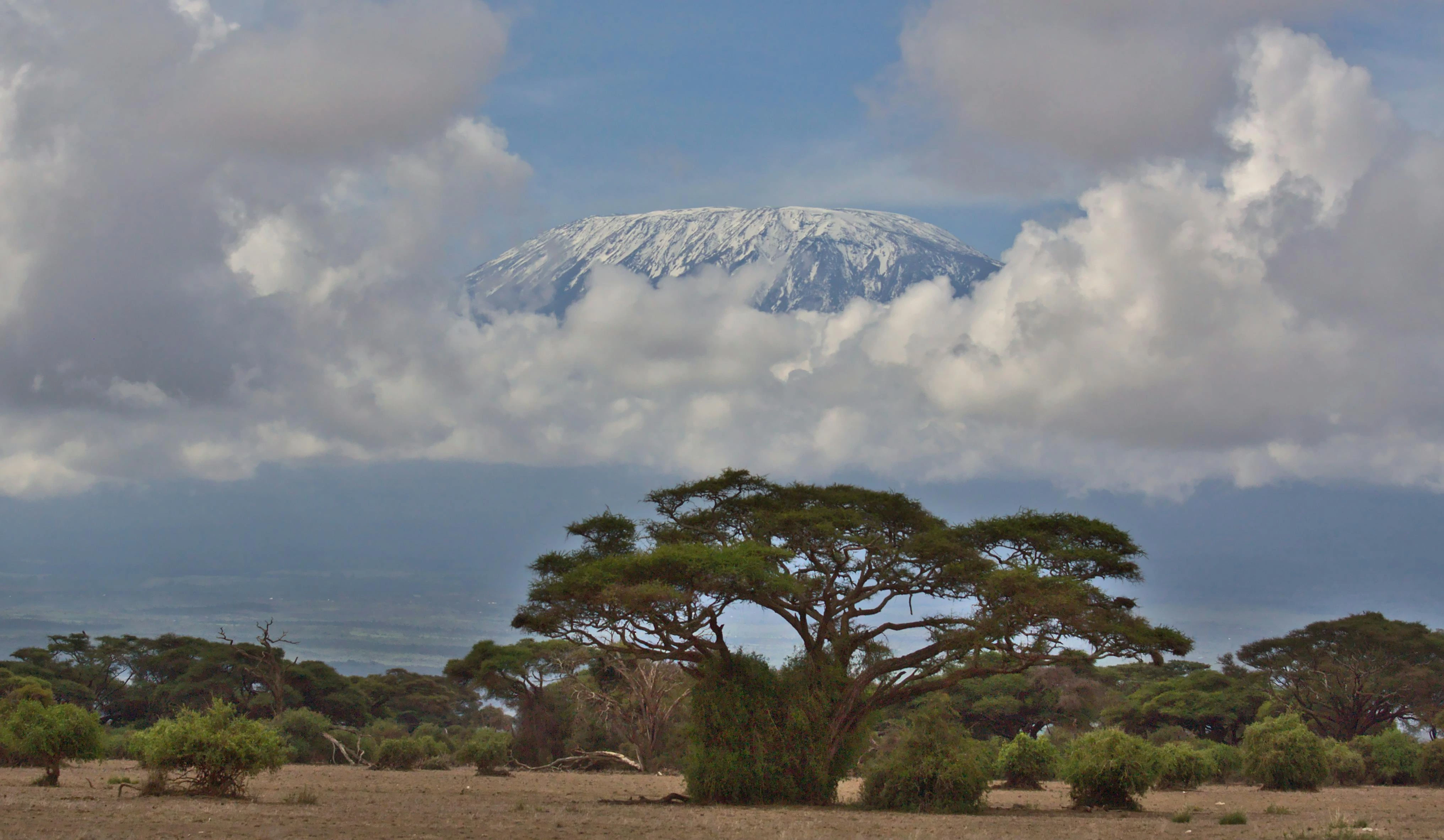 Kilimanjaro from the distance 