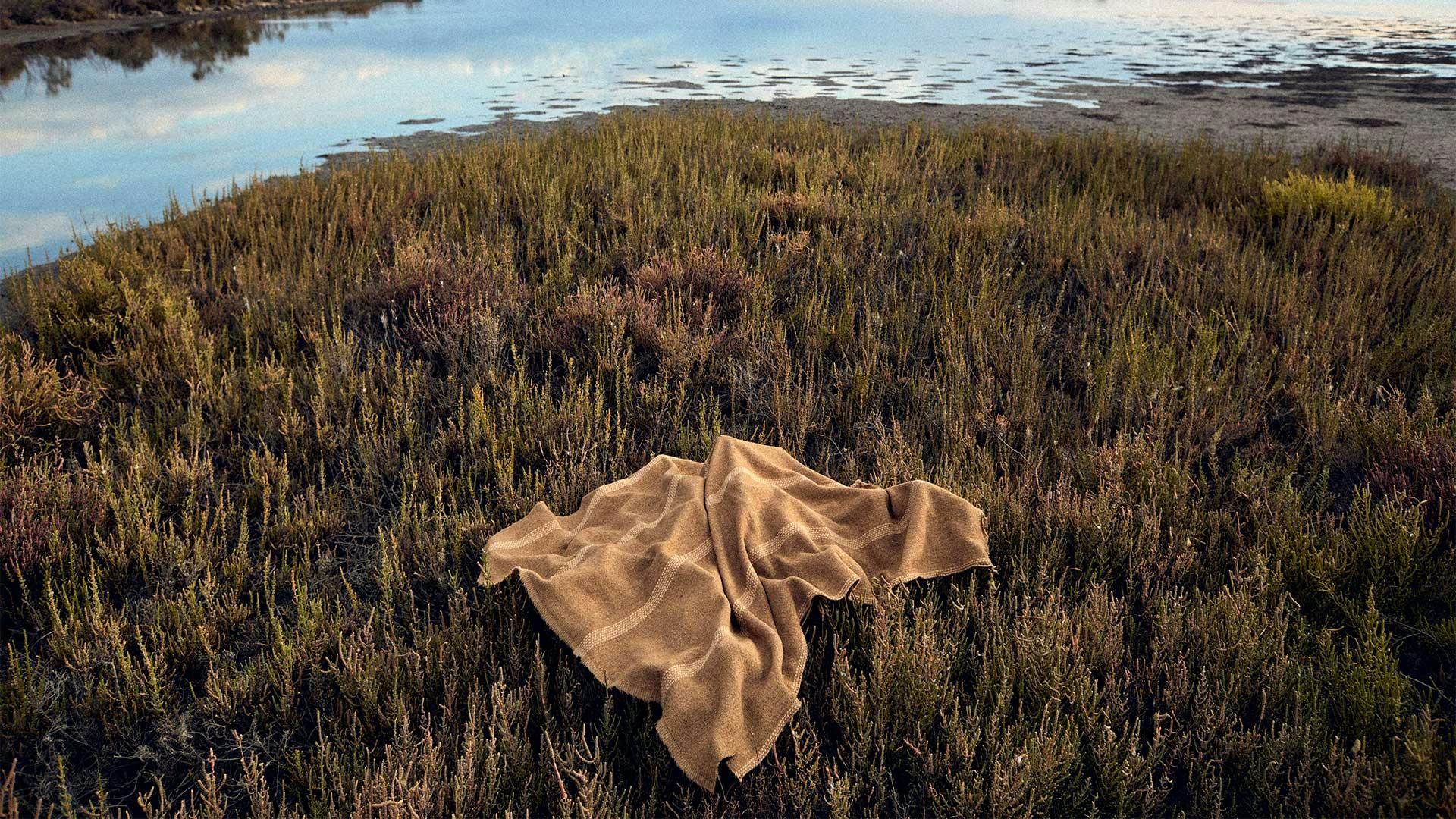 Le nostre collezioni