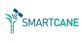 Logo of smartcane