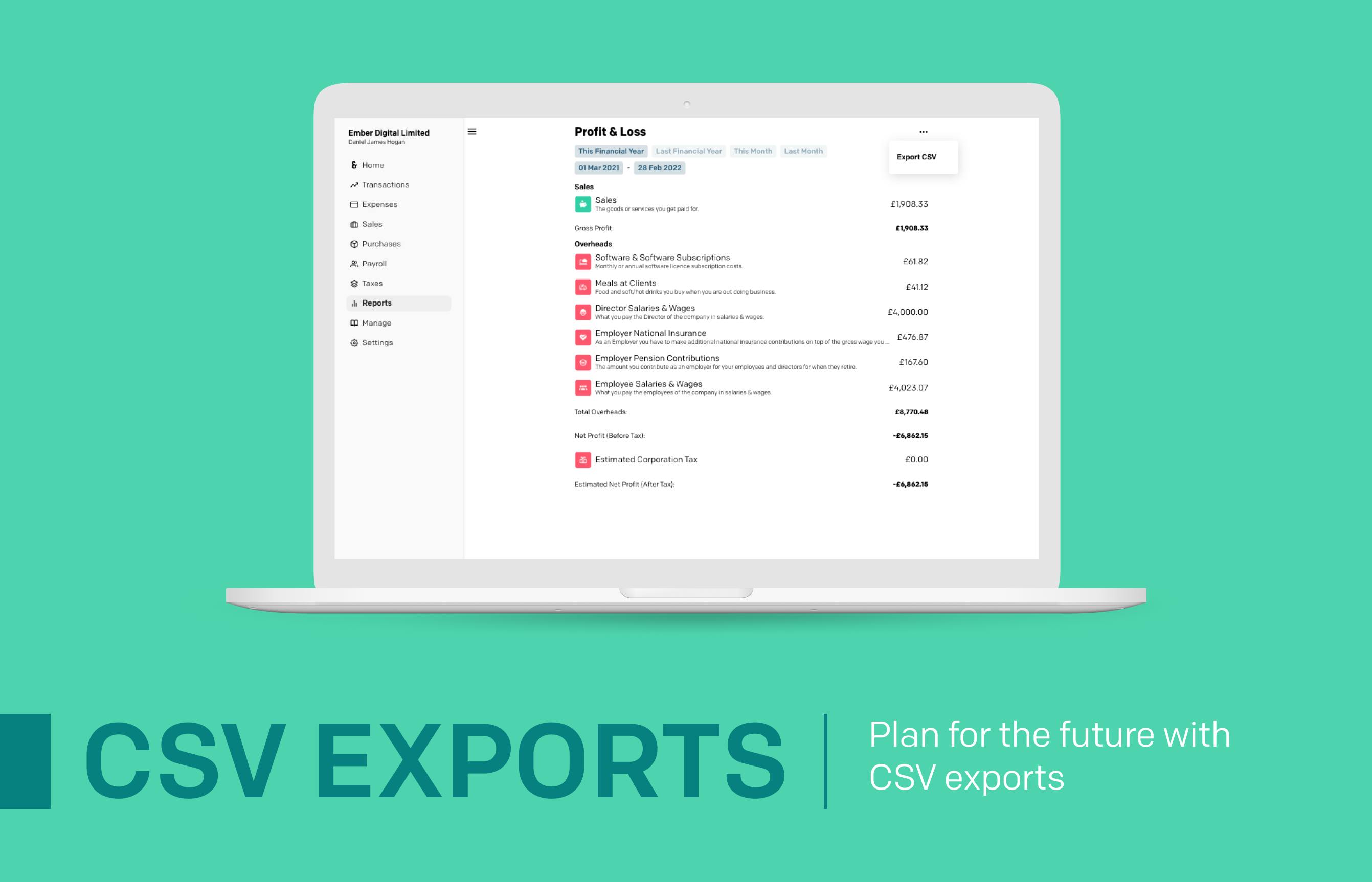 Export options showcased on the Profit & Loss page / Screenshot from Ember