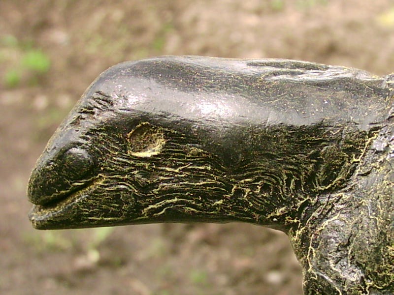 Rădăcină de copac sub forma unei reptile