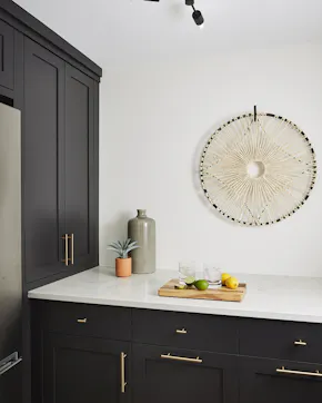 pantry with black cabinetry 