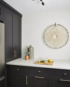 pantry with black cabinetry