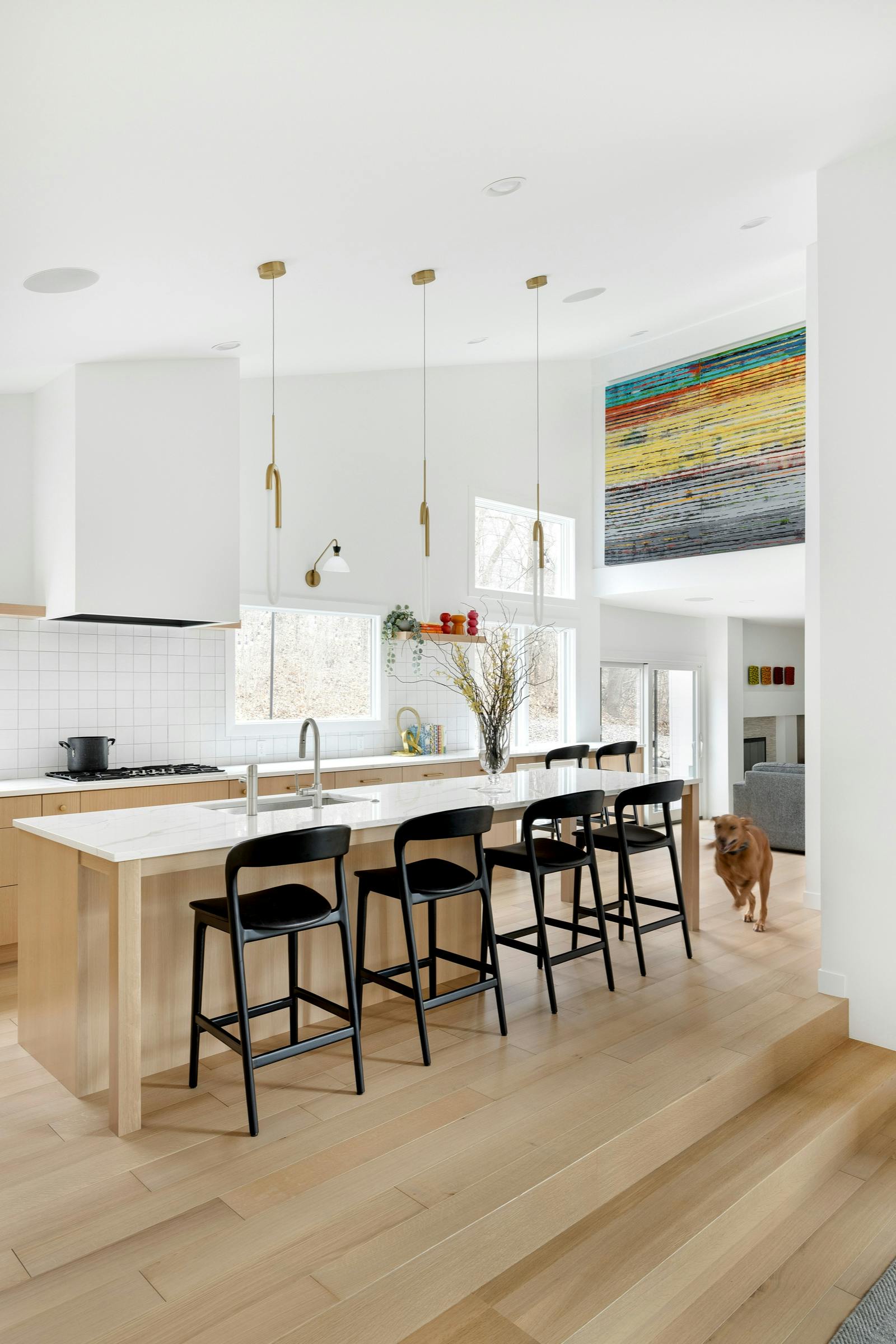 dog running through contemporary kitchen