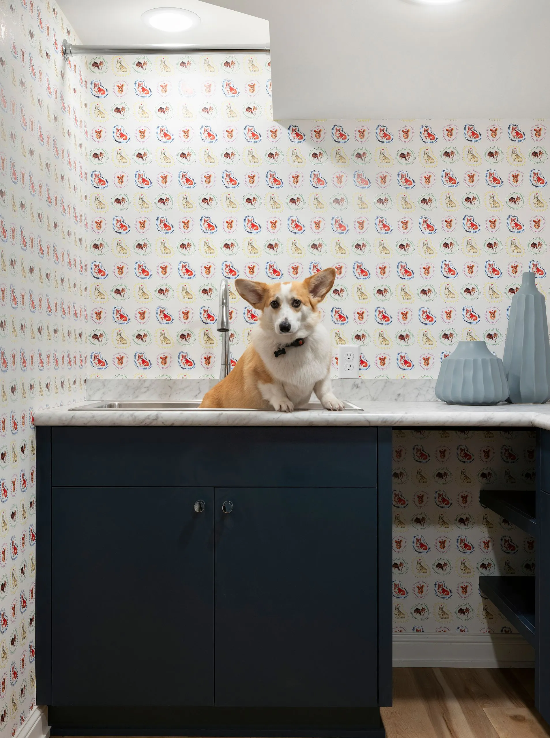Laundry room dog wash station with corgi wallpaper in a thoughtfully designed home remodel.