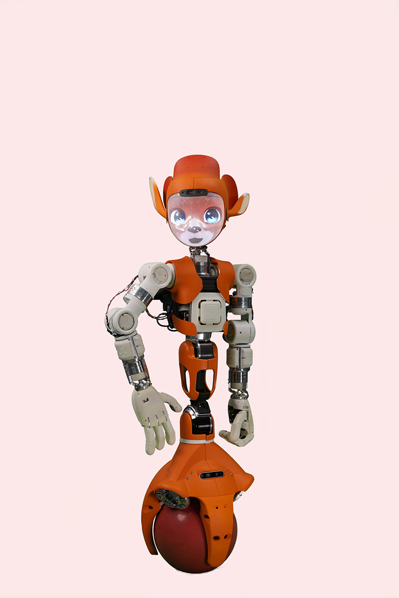 Mirokaï robot