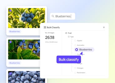 sampleImage_pre-label-data-with-bulk-classifications