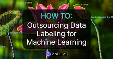 sampleImage_outsourcing-data-labeling-guide