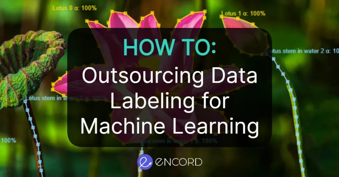 sampleImage_guide-to-outsourcing-data-labeling-for-machine-learning