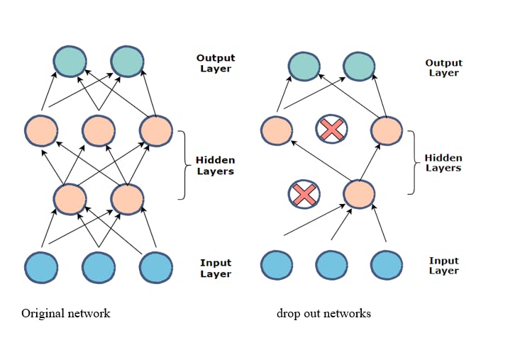 Training vs fine tuning | Dropout neural networks