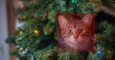 sampleImage_product-updates-december-2022