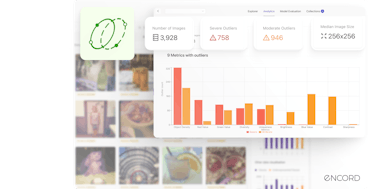 sampleImage_detect-data-quality-issues-in-torchvision-dataset-using-encord-active