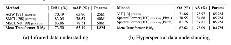 Meta-Transformer Results