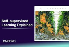 The complete guide to self-supervised learning | Encord