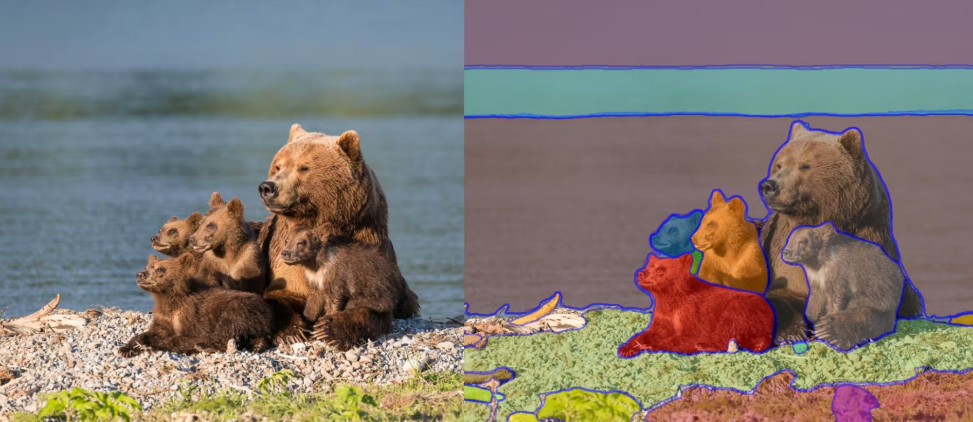 Image showing the output of a SAM segmented image of a bear mom and her cubs.