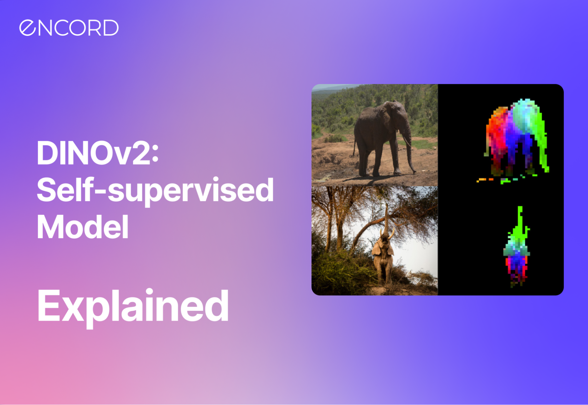 DINOv2 Self-supervised Learning Model Explained | Encord