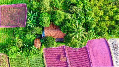 sampleImage_computer-vision-for-agriculture-handling-variable-field-conditions