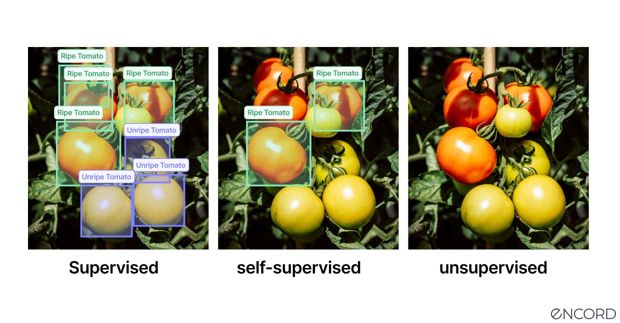 Self-supervised vs. Supervised vs. Unsupervised Data